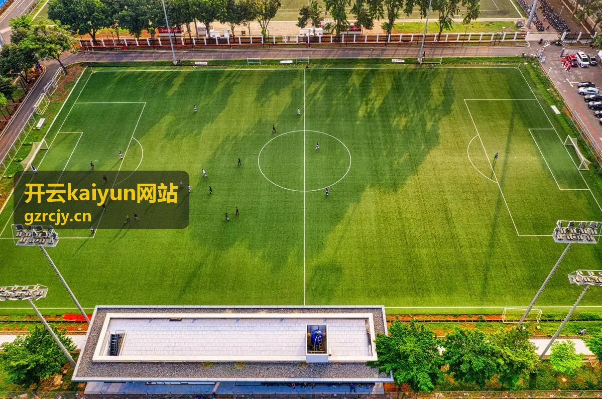 开云kaiyun网站安全合规与风控服务图示