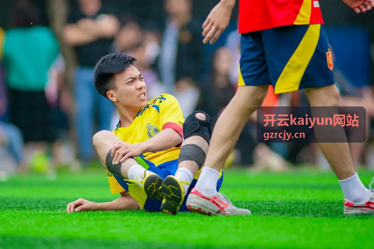 开云kaiyun网站数据同步与接入在业务系统之间的链路示意