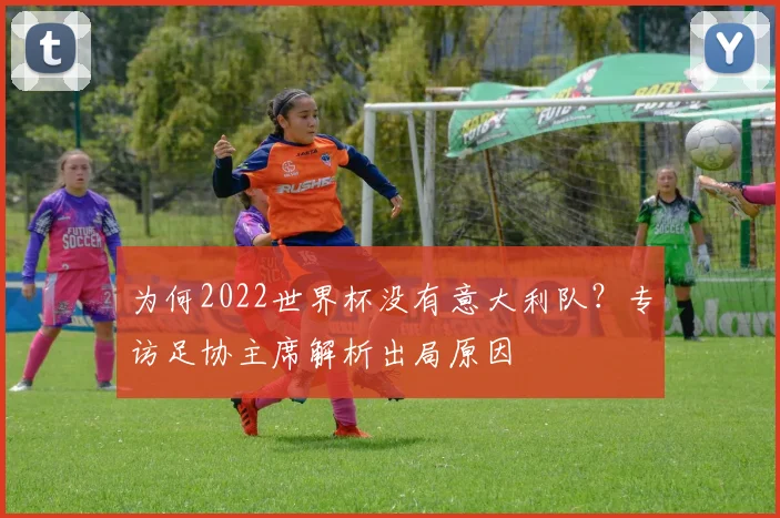 为何2022世界杯没有意大利队？专访足协主席解析出局原因