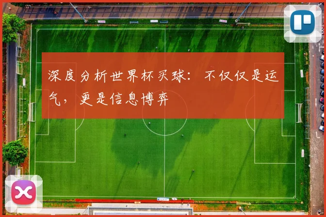 深度分析世界杯买球：不仅仅是运气，更是信息博弈