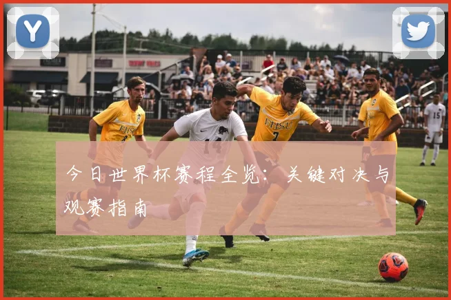 今日世界杯赛程全览：关键对决与观赛指南