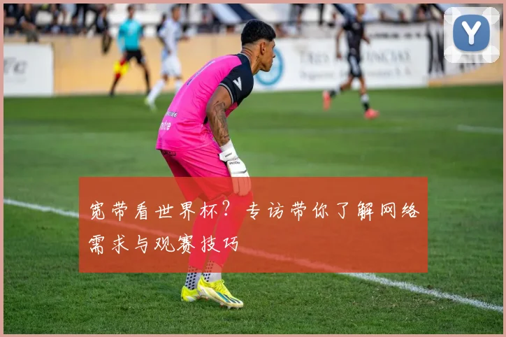 宽带看世界杯？专访带你了解网络需求与观赛技巧